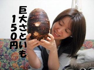 f0043559_1211963.jpg