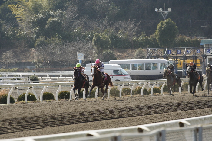 2009年2月7日（土） 高知競馬 4R_a0077663_72651.jpg