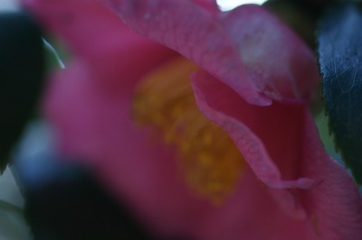 d0141365_21291884.jpg