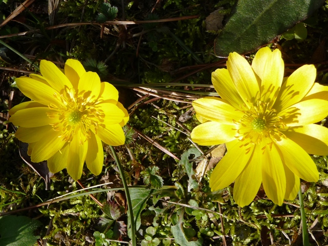d0042474_18362845.jpg
