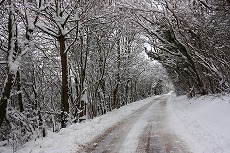 a0107981_184245100.jpg