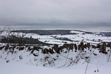 a0107981_18431184.jpg