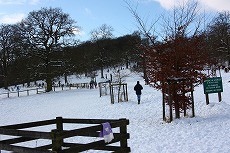 a0107981_18432910.jpg