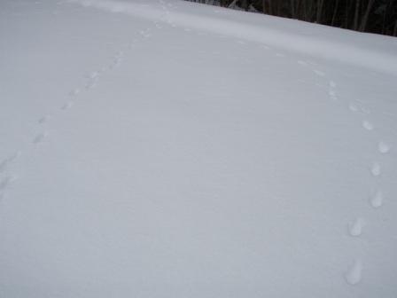 e0121286_18858.jpg