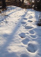 一歩一歩。_d0028589_0245177.jpg