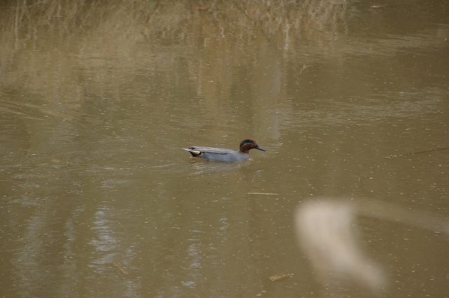e0070891_1842597.jpg