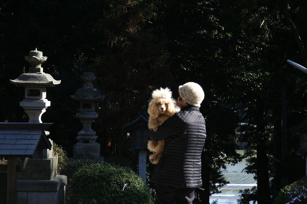 のどかな日曜日　＊2009年02月08日（日）＊_f0118293_19164944.jpg