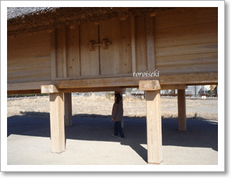 f0119193_2035437.gif