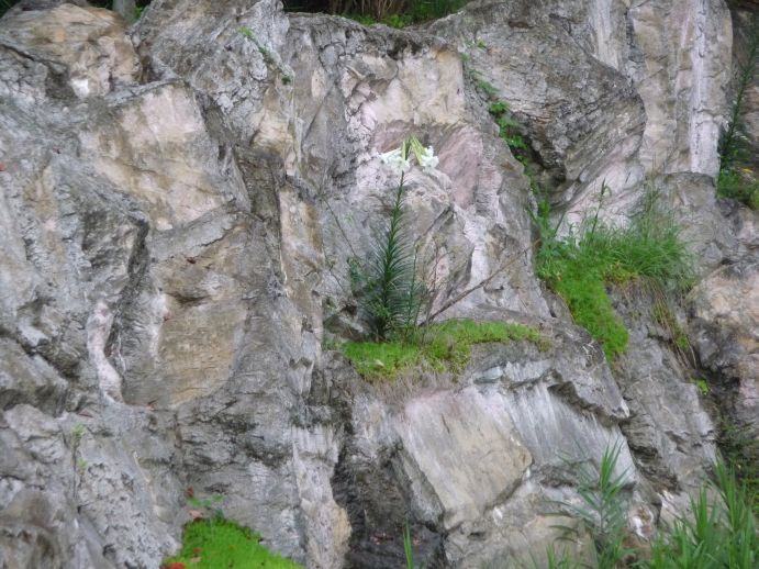 c0167798_2332294.jpg