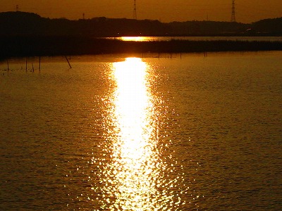手賀沼ラン_a0036808_16173890.jpg