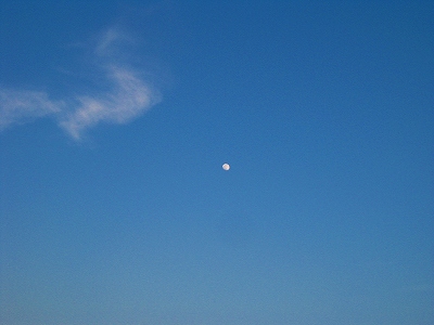 手賀沼ラン_a0036808_16184171.jpg