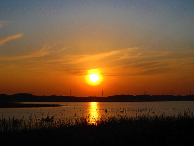 手賀沼ラン_a0036808_16191637.jpg
