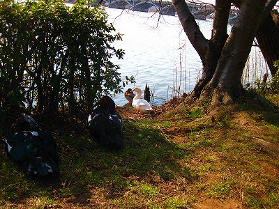 手賀沼ラン_a0036808_165496.jpg