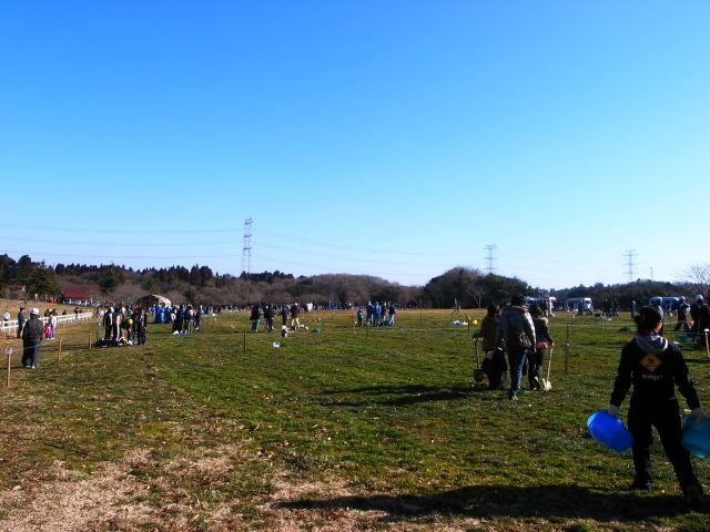 穴掘りに軽い気持ちで手を出すとこうなる_d0018714_2341096.jpg
