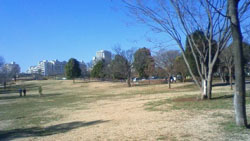公園散策~都立武蔵国分寺公園~_f0140817_19173019.jpg