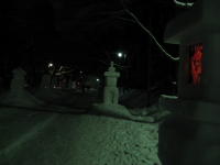 弘前城雪燈籠まつり*2009.02.08_b0147224_0464271.jpg