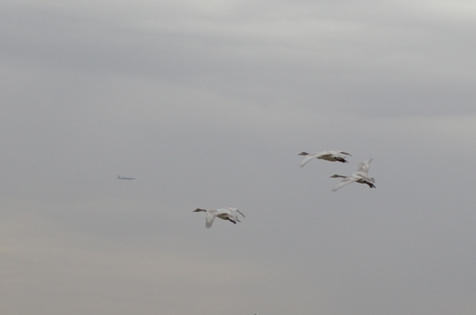 c0107924_2241459.jpg