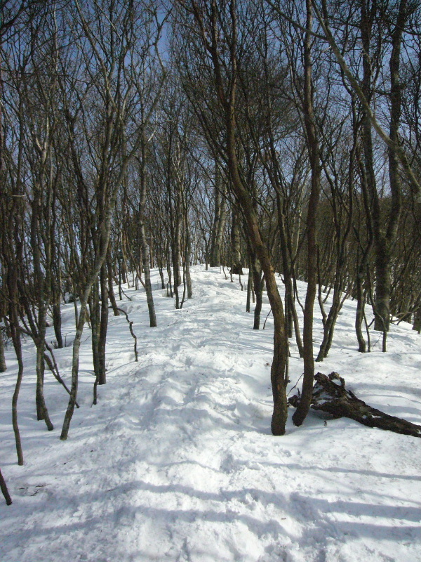 d0075131_0263570.jpg