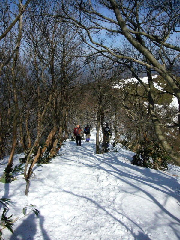 d0075131_1261524.jpg