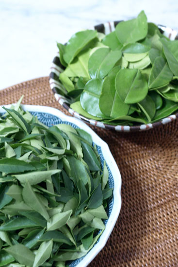 Kaffir Lime Leaf & Curry Leaf_c0134945_1314969.jpg