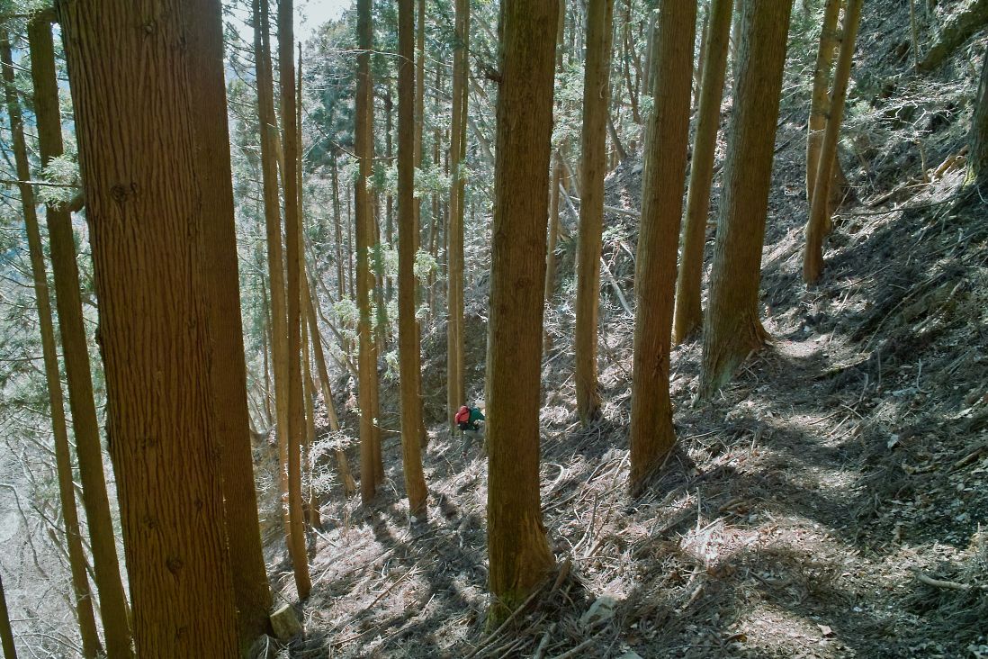 c0008948_20195246.jpg