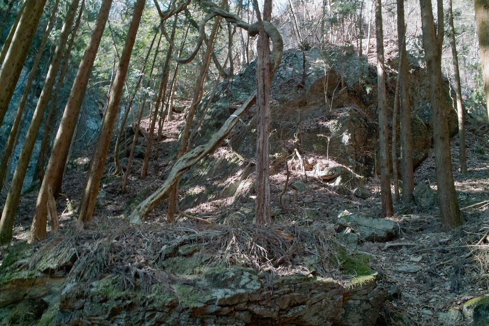 東武沿線の山_c0008948_2020585.jpg