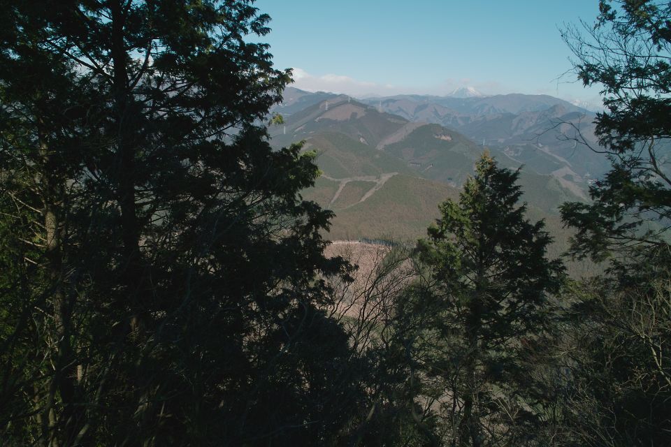 c0008948_20293894.jpg