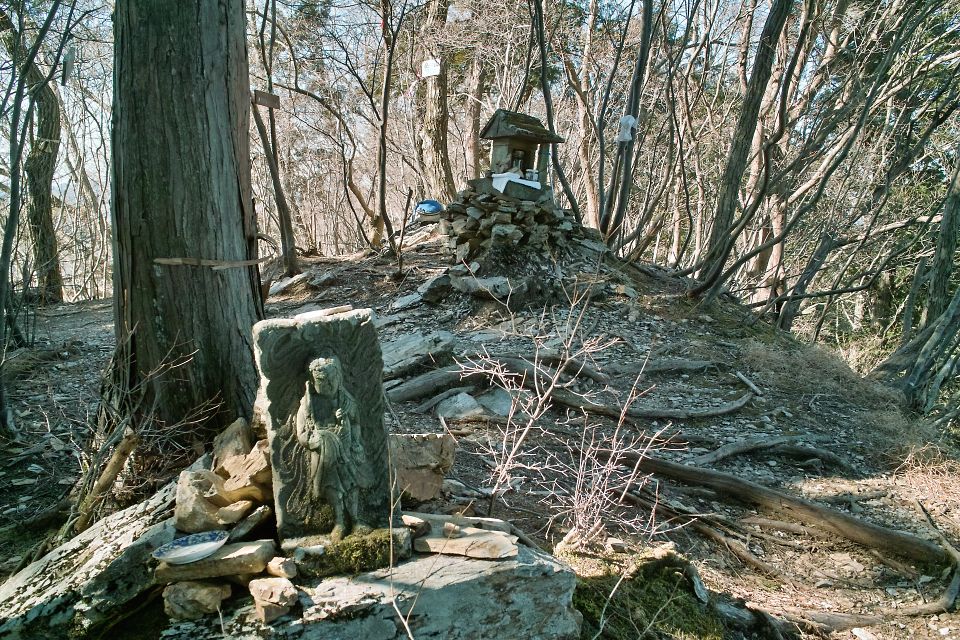 東武沿線の山_c0008948_2030406.jpg