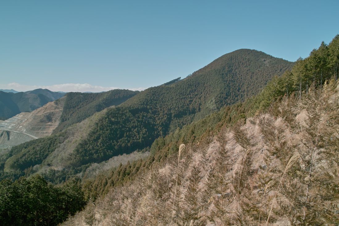 東武沿線の山_c0008948_2133728.jpg