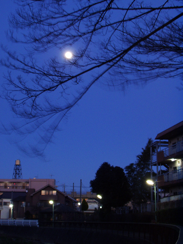 風と月_e0071652_21394712.jpg