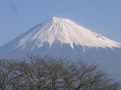 f0147759_1124774.jpg