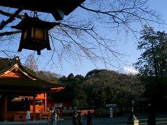 f0147759_1134075.jpg