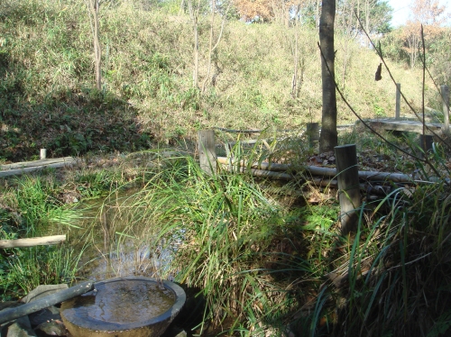 c0108460_1685942.jpg