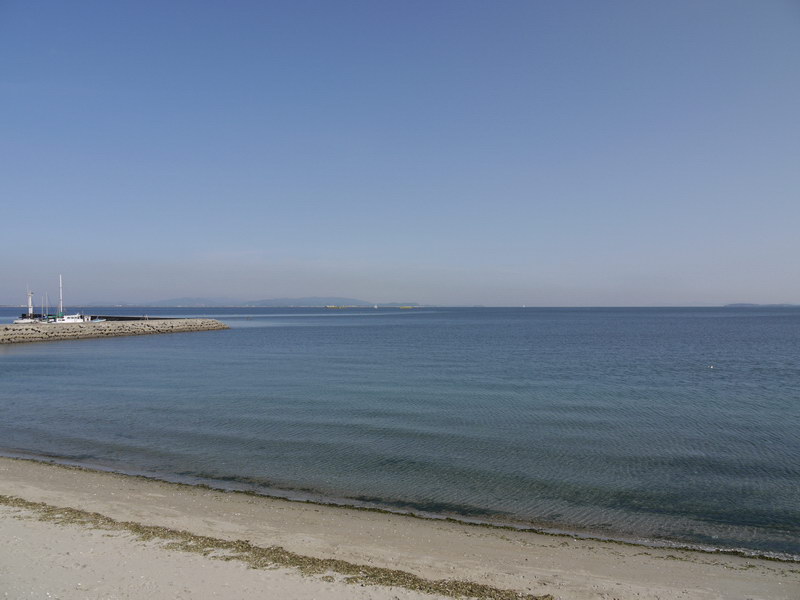 c0084268_8482472.jpg
