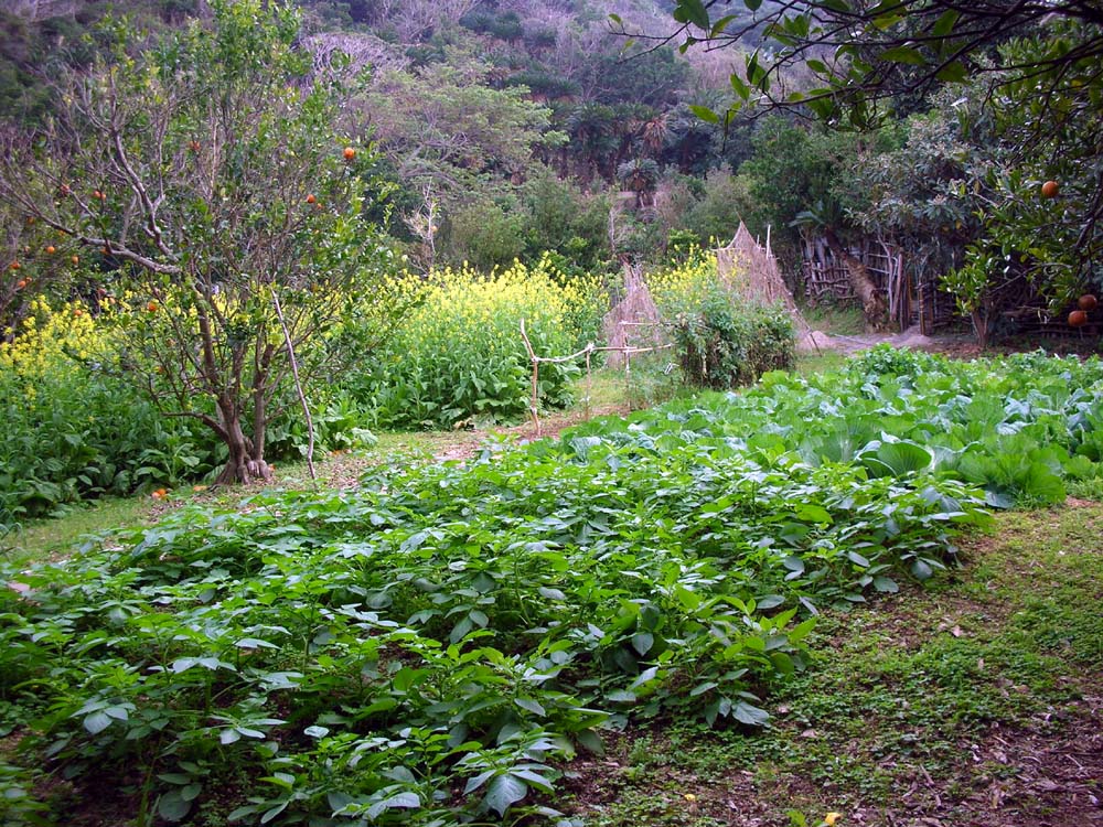 a0084771_13233770.jpg