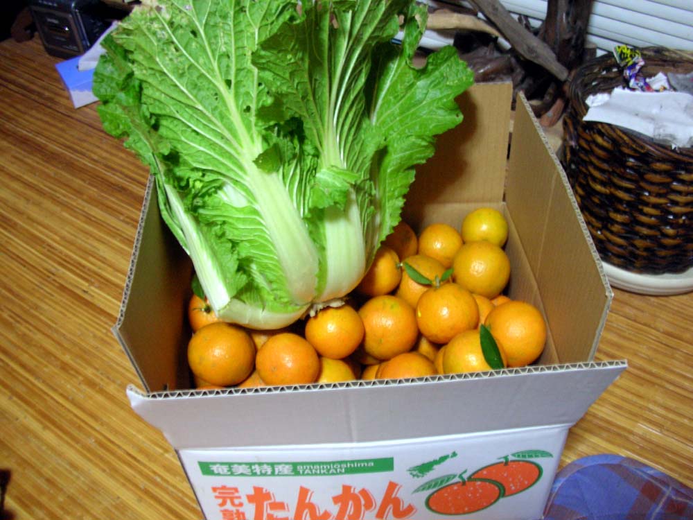 a0084771_14134629.jpg