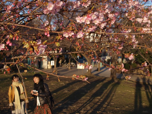d0016584_1253543.jpg