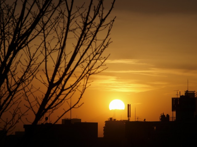 d0016584_1463217.jpg