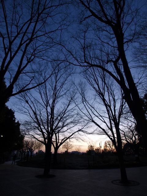 d0016584_1541786.jpg