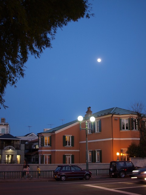 d0016584_156432.jpg