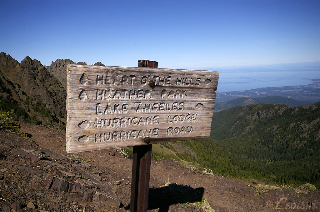 c0080101_10331979.jpg