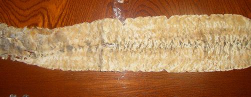 c0170905_1224287.jpg