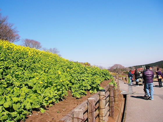 f0038407_9483028.jpg