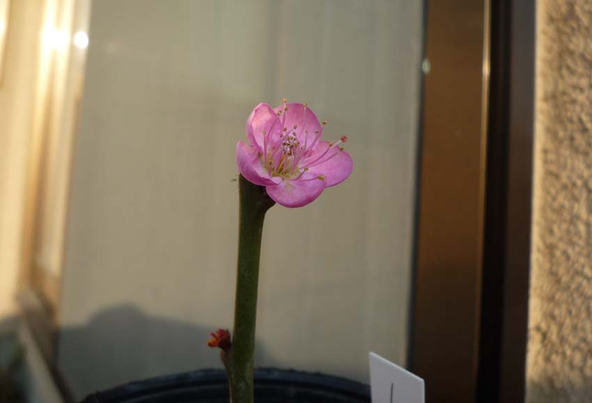 a0097110_2343294.jpg