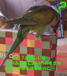 c0133013_1537411.jpg