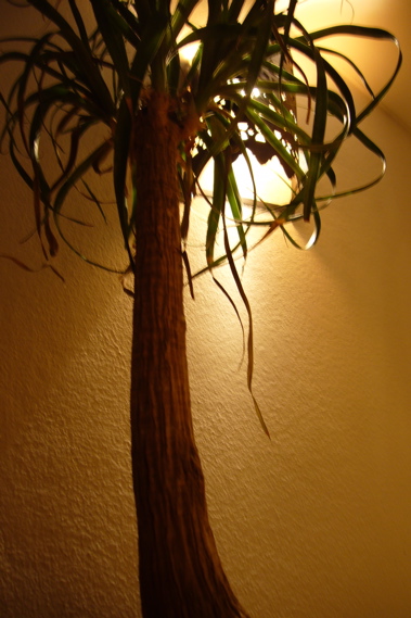 c0167813_20174895.jpg