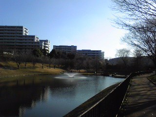 f0198228_21393959.jpg