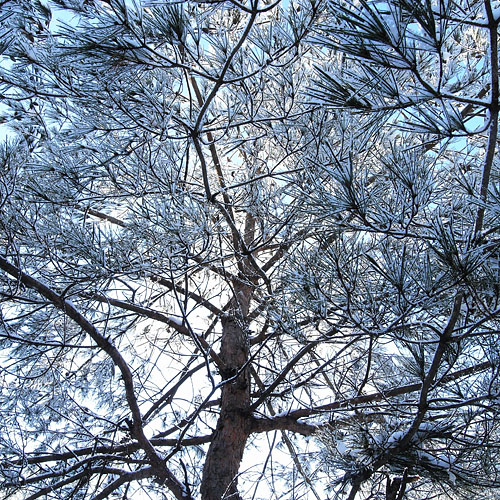c0067040_22292110.jpg