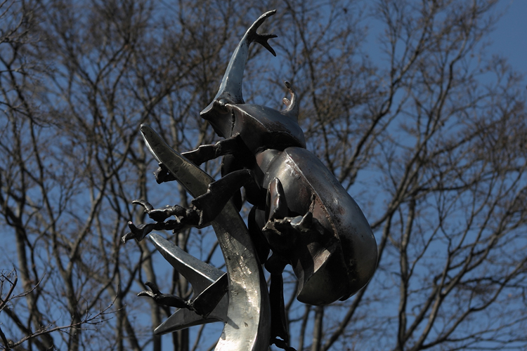 c0198351_239136.jpg