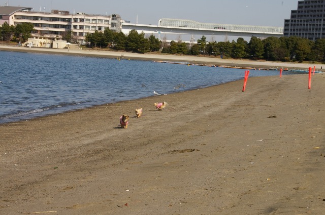 f0154751_19325079.jpg